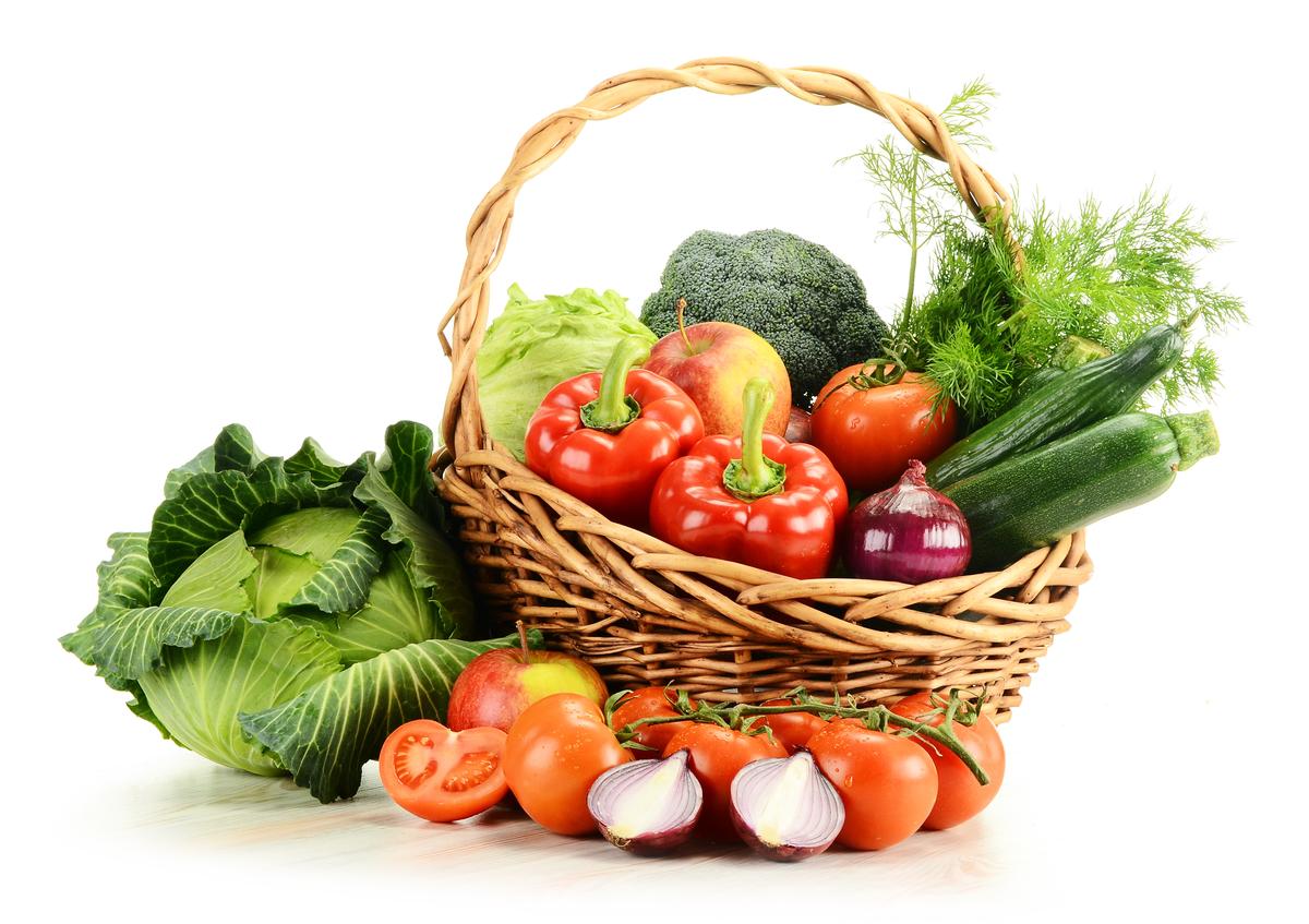 Agriculture projet 1réalisé