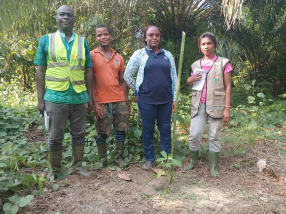 LA ZONE ABIDJAN ANADER S’ASSURE DU DEPLOIEMENT DES PRATIQUES AGROFORESTIERES DANS LES CHAMPS DE CACAO