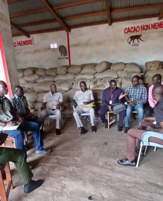 VAVOUA : LE CONSEIL DU COTON ET DE  L’ANACARDE ET L’ANADER SENSIBILISENT SUR LA QUALITE DE LA NOIX DE CAJOU