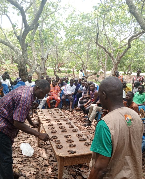 L’ANADER SENSIBILISE LES EXPLOITANTS AGRICOLES DE VAVOUA SUR LA QUALITE DE LA NOIX BRUTE DE CAJOU