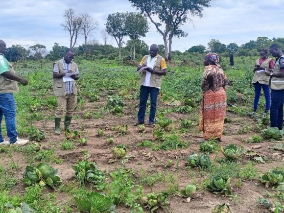 L’ANADER ÉVALUE DES PROJETS AGRICOLES MAJEURS DANS LA ZONE D’ODIENNÉ