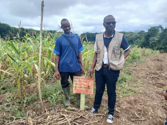 MISE EN ŒUVRE DU 2PAUCI MAÏS : LA ZONE ABIDJAN REÇOIT UN APPUI TECHNIQUE DE LA DR SUD