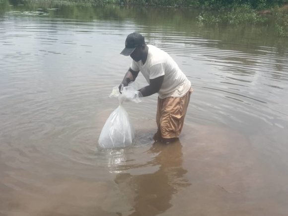 L’ANADER ACCOMPAGNE LE DEVELOPPEMENT DE LA PISCICULTURE AU PROFIT DES JEUNES DU TCHOLOGO