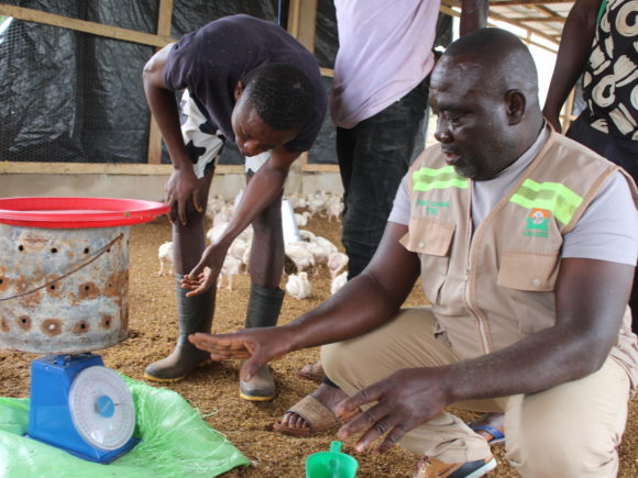 L’ANADER ACCOMPAGNE LES POPULATIONS IMPACTÉES DE LA MINE D’OR DE TIETTO À LA CRÉATION D’AGR