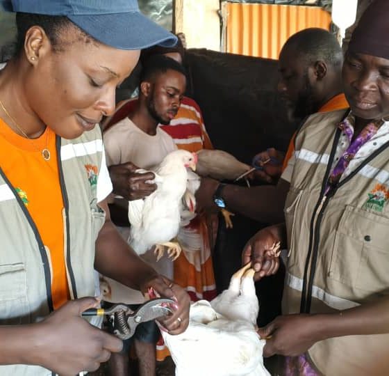 DES AGENTS ANADER FORMÉS EN SÉCURITÉ  SANITAIRE D’UNE FERME AVICOLE