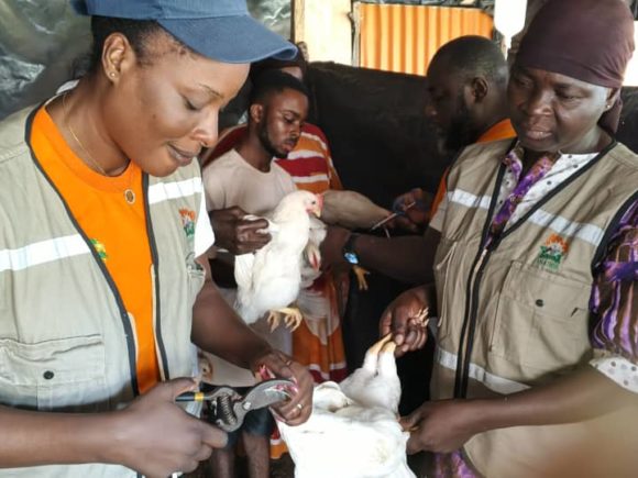 DES AGENTS ANADER FORMÉS EN SÉCURITÉ  SANITAIRE D’UNE FERME AVICOLE