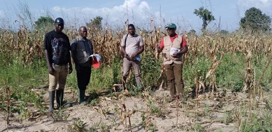 MINIGNAN : LA DRNO ENTREPREND UNE MISSION DE SUPERVISION DES ACTIVITÉS DU 2PAUCI