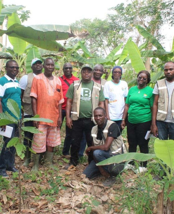 EXÉCUTION DES ACTIVITÉS DU PTBA 2025 : LA DR CENTRE-OUEST RÉALISE UNE PERFORMANCE D’ENVIRON 80% 