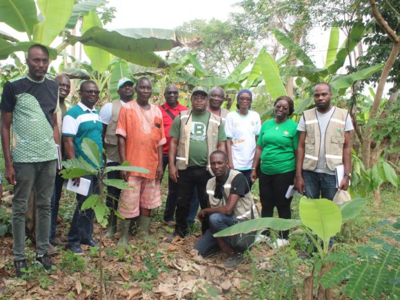 EXÉCUTION DES ACTIVITÉS DU PTBA 2025 : LA DR CENTRE-OUEST RÉALISE UNE PERFORMANCE D’ENVIRON 80% 