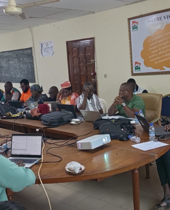 BILAN ANNUEL DU PTBA 2025 : LA DR CENTRE-OUEST ANADER AFFICHE D’EXCELLENTS TAUX DE REALISATION