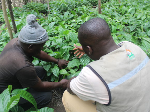 PSD 2019-2024 : L’ANADER FAIT SON BILAN