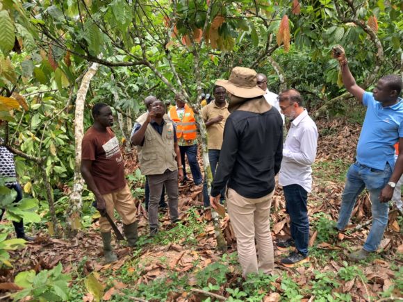 TRAITEMENT PHYTOSANITAIRE DU CACAO : UNE MISSION D’INSPECTEURS BRÉSILIENS À LA ZONE ANADER D’ABOISSO