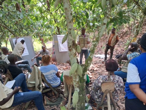 ZONE ANADER ABOISSO : DES AGENTS DU PROJET PASPCCD RENFORCENT LEURS CAPACITÉS SUR L’OUTIL CHAMP ECOLE PAYSAN