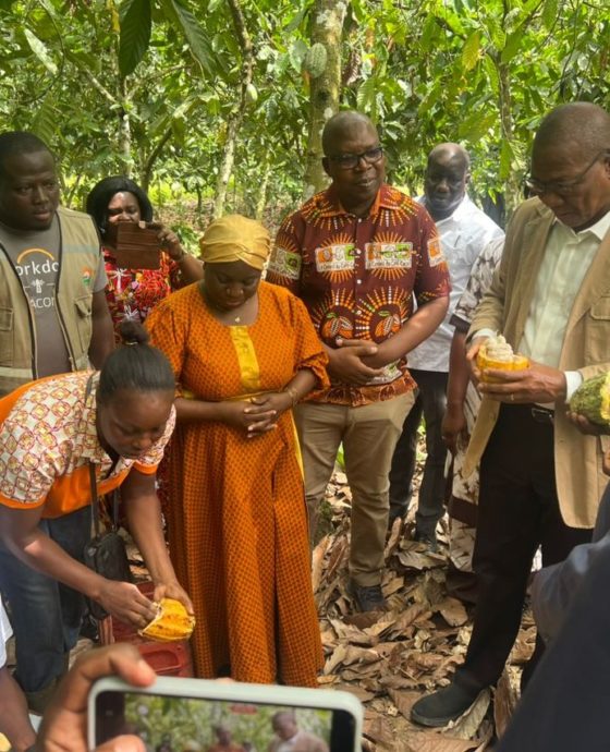 CRISE DANS LA FILIERE CAFE-CACAO : LE MINISTRE BRUNO KONE PREND CONTACT AVEC LE TERRAIN