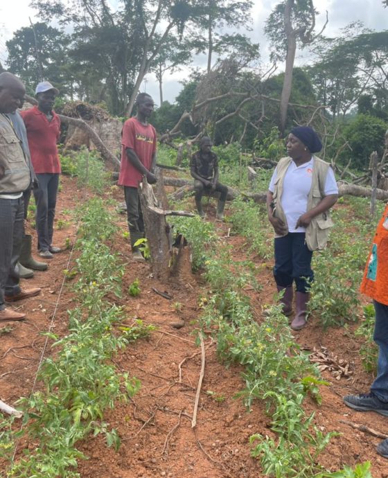 SUIVI DU PTBA : LA DIRECTION RÉGIONALE EN MISSION D’APPUI À LA ZONE D’AGNIBILÉKROU