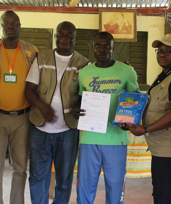 L’ANADER DISTRIBUE DES SEMENCES AUX PRODUCTEURS DE MAÏS DE DALOA ET VAVOUA