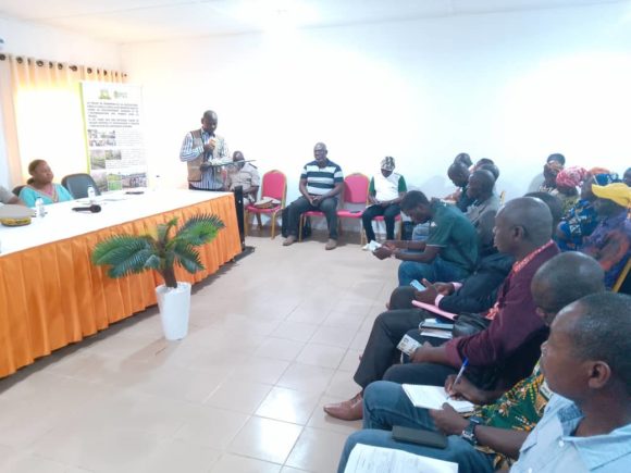 REGION DU CAVALLY : L’ANADER ET SES PARTENAIRES EVALUENT LES ACQUIS DU PROJET DE PROMOTION DE LA CAFÉICULTURE