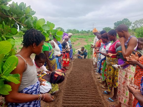 TEGUIRDOUO (BOUNA) : DES PRODUCTEURS FORMÉS EN CULTURE DE GOMBO ET EN PÉPINIÈRE MARAÎCHÈRE